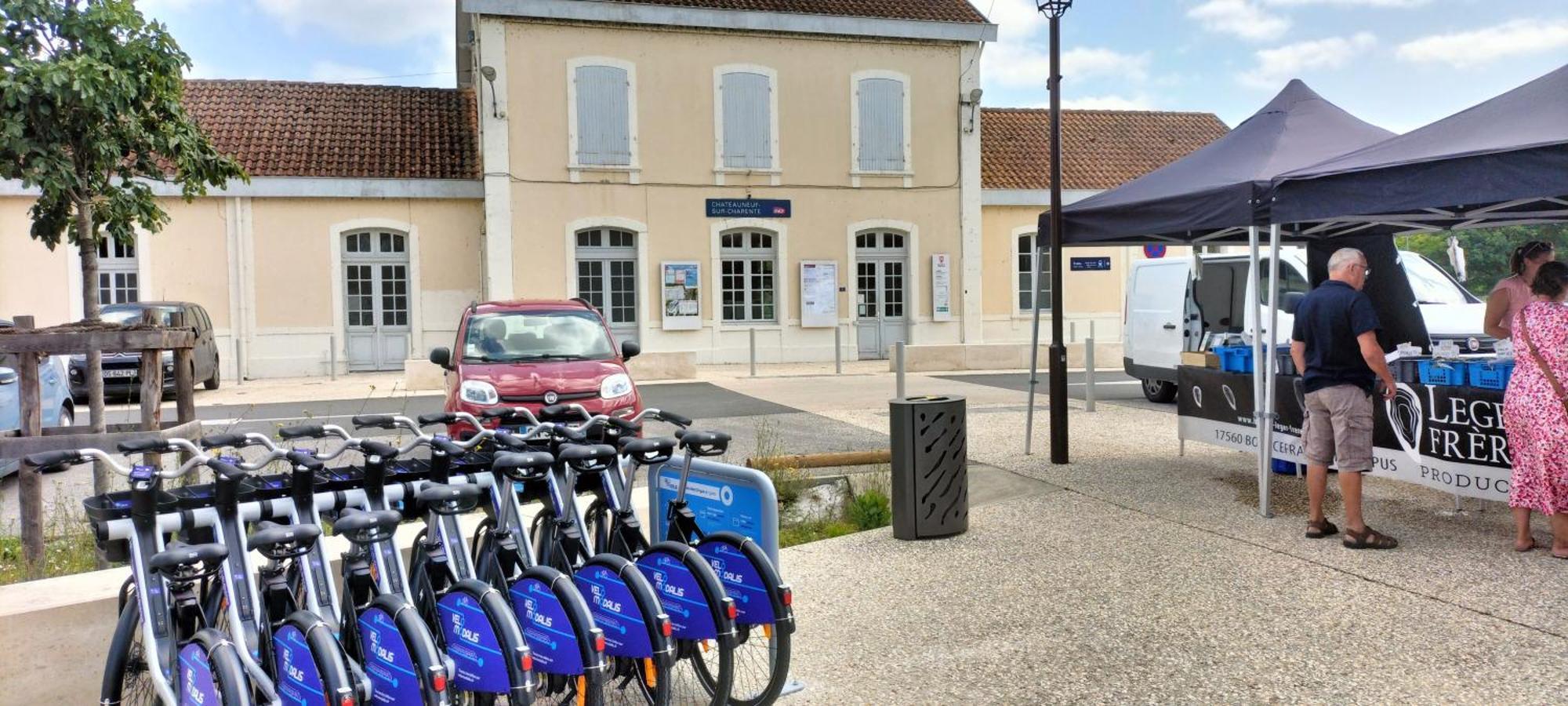 Ferienwohnung Annexe Du Pont De La Charente Châteauneuf-sur-Charente Exterior foto